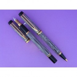 WATERMAN SET FOUNTAIN PEN AND BALL-POINT PEN WITH GREY MODEL