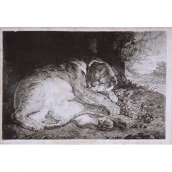 DELACROIX Eugène Ferdinand Victor (1798-1863) --FRENCH-- 'Lions et ses petites'