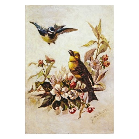*PETRALLI V. (XIXth CENTURY) --ITALIAN-- Small birds""
