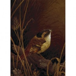 MORICZ Karl Ivan (1941 - ) (ANIMALIST) --HUNGARIAN / ARGENTINIAN-- Patagonian bird III""