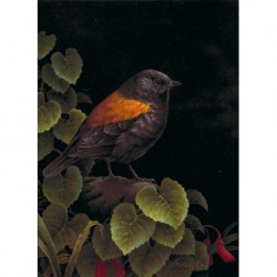 MORICZ Karl Ivan (1941 - ) (ANIMALIST) --HUNGARIAN / ARGENTINIAN-- Patagonian bird IIV""