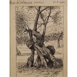 SUAU F. (1/2 XXth CENTURY) --CATALAN/SPANISH-- Olive tree de Valdemosa (Majorca) 31.8.1932""
